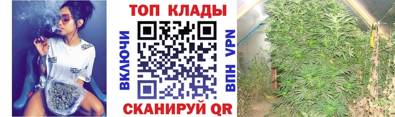 Наркошоп купить КОКАИН  Альфа ПВП  ГАШ  Канабис  МЕФ  Калининград