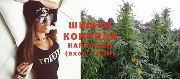 трава Щучье