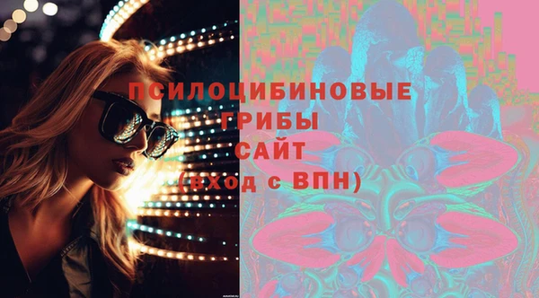 дурь Щёлкино